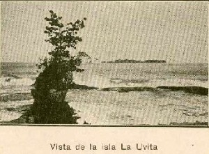 Isla Uvita, Limón
